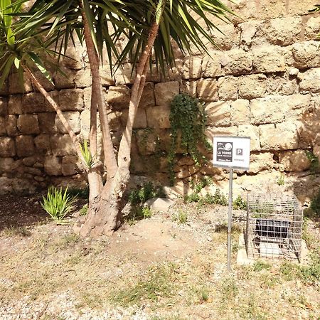 La Torre Διαμέρισμα Tarquinia Εξωτερικό φωτογραφία