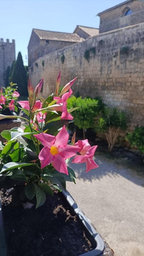La Torre Διαμέρισμα Tarquinia Εξωτερικό φωτογραφία